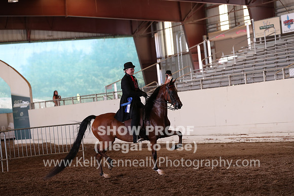 AHANC20_Thurs_2464