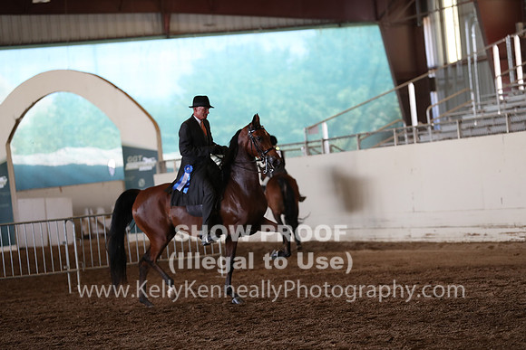 AHANC20_Thurs_2498