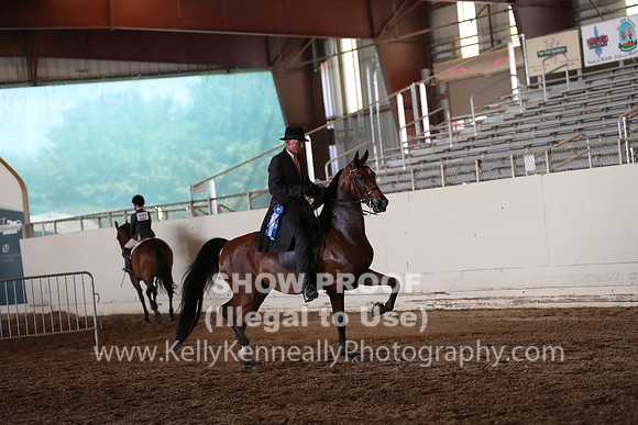 AHANC20_Thurs_2501