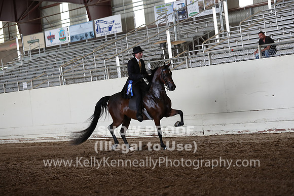 AHANC20_Thurs_2520