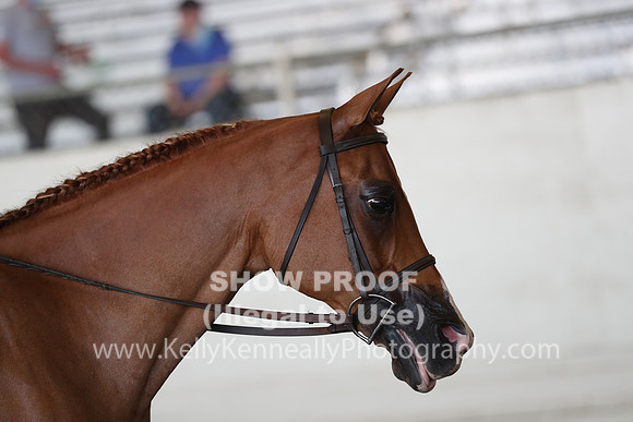 AHANC20_Thurs_2675
