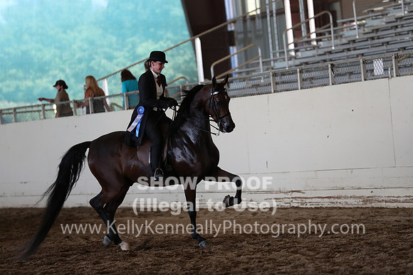 AHANC20_Thurs_2904