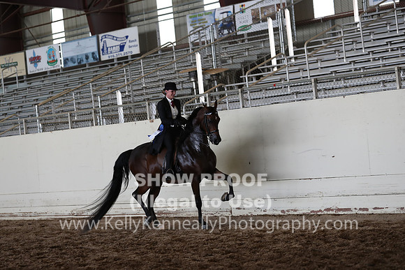 AHANC20_Thurs_2911