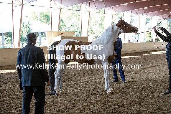 AHANC20_Thurs_3061