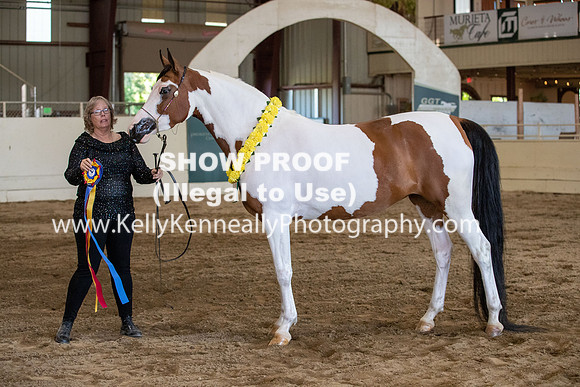 AHANC20_Thurs_3073
