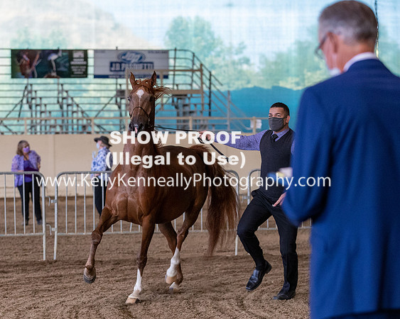 AHANC20_Thurs_3088