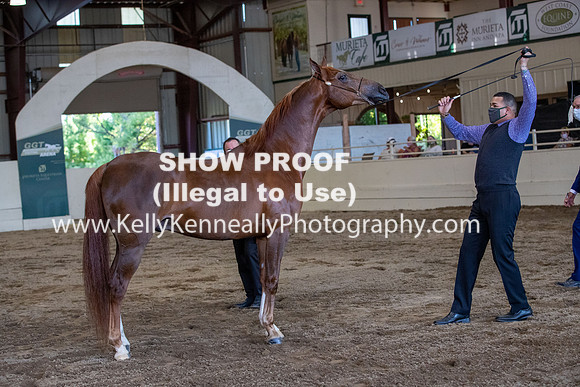 AHANC20_Thurs_3104