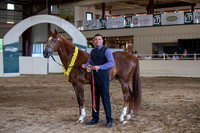 Region 1 Halter