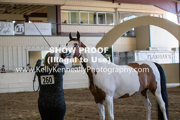AHANC20_Thurs_3126