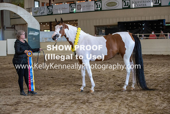 AHANC20_Thurs_3132