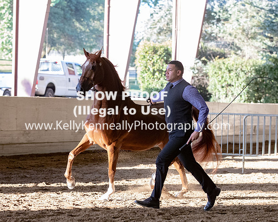 AHANC20_Thurs_3140
