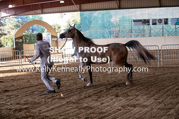 AHANC20_Thurs_3170