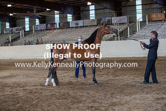 AHANC20_Thurs_3175