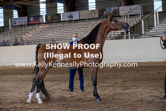 AHANC20_Thurs_3176