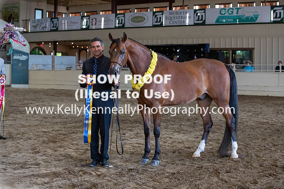 AHANC20_Thurs_3192