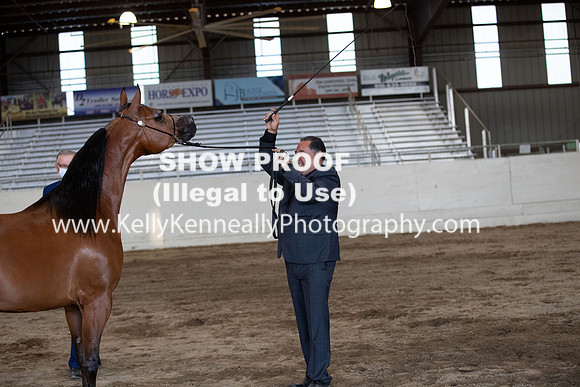 AHANC20_Thurs_3252