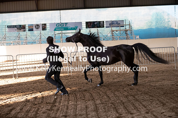 AHANC20_Thurs_3309