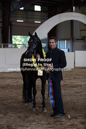 AHANC20_Thurs_3344
