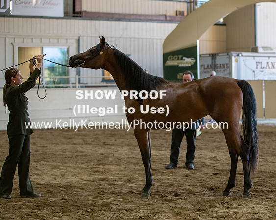 AHANC20_Thurs_3359