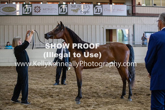 AHANC20_Thurs_3392