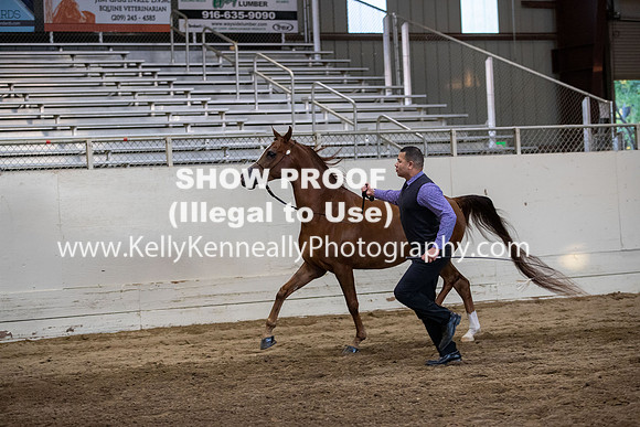 AHANC20_Thurs_3451