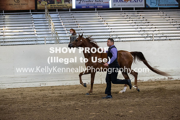 AHANC20_Thurs_3456