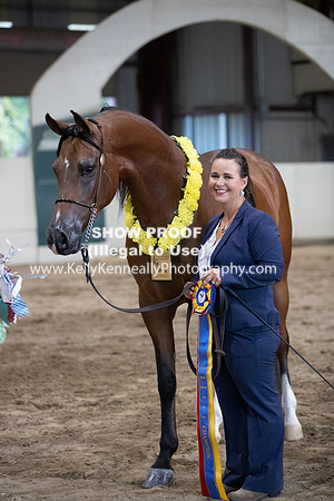 AHANC20_Thurs_3475