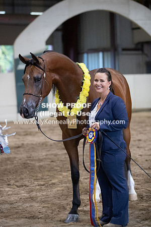 AHANC20_Thurs_3476