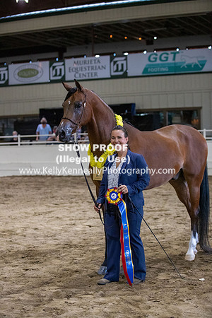 AHANC20_Thurs_3524