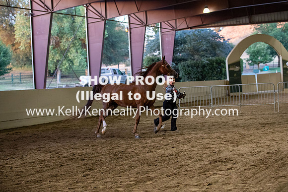AHANC20_Thurs_3528