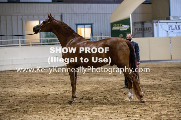 AHANC20_Thurs_3560