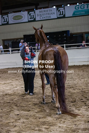 AHANC20_Thurs_3566