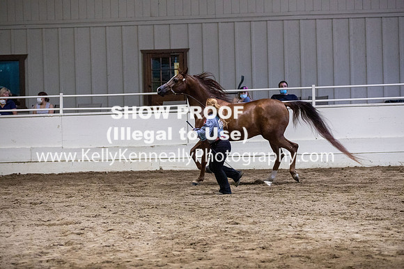 AHANC20_Thurs_3570