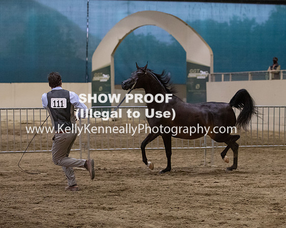 AHANC20_Thurs_3624
