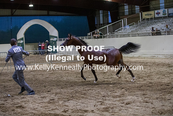 AHANC20_Thurs_3702