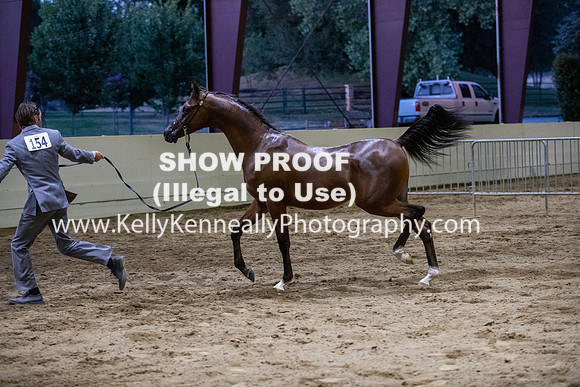 AHANC20_Thurs_3711