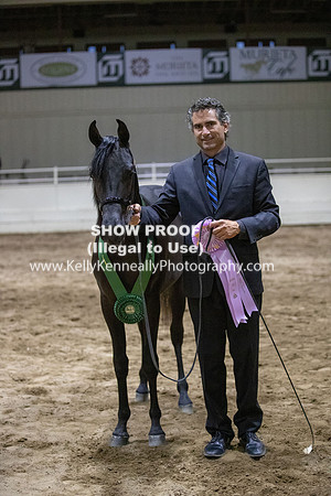 AHANC20_Thurs_3757