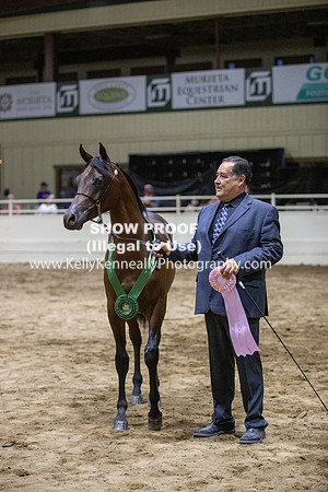 AHANC20_Thurs_3765