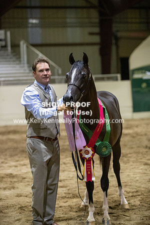 AHANC20_Thurs_3769