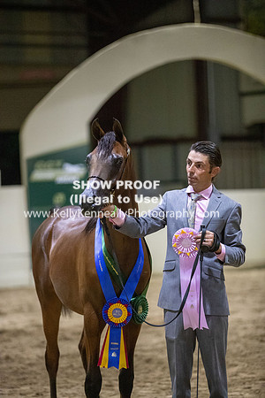 AHANC20_Thurs_3786