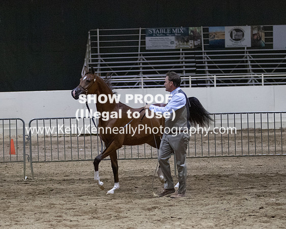 AHANC20_Thurs_3808