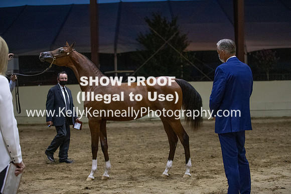 AHANC20_Thurs_3820