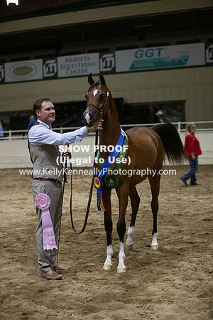 AHANC20_Thurs_3827