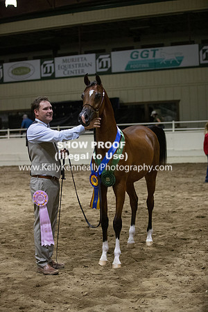 AHANC20_Thurs_3830