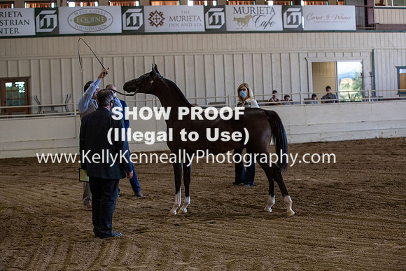 AHANC20_Thurs_3021