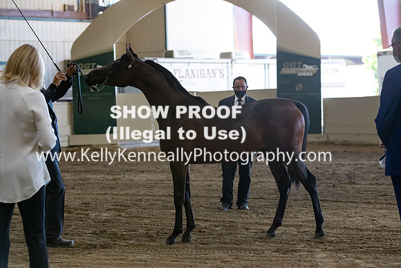 AHANC20_Thurs_3028