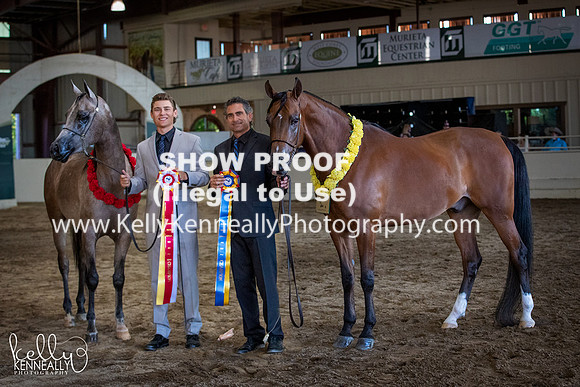 AHANC20_Thurs_3199fb