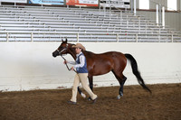 PacSlope20_Fri_4347