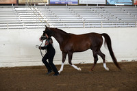 PacSlope20_Fri_4349