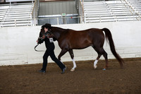 PacSlope20_Fri_4355